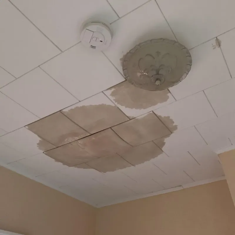 Ceiling Water Damage Repair in Trucksville, PA