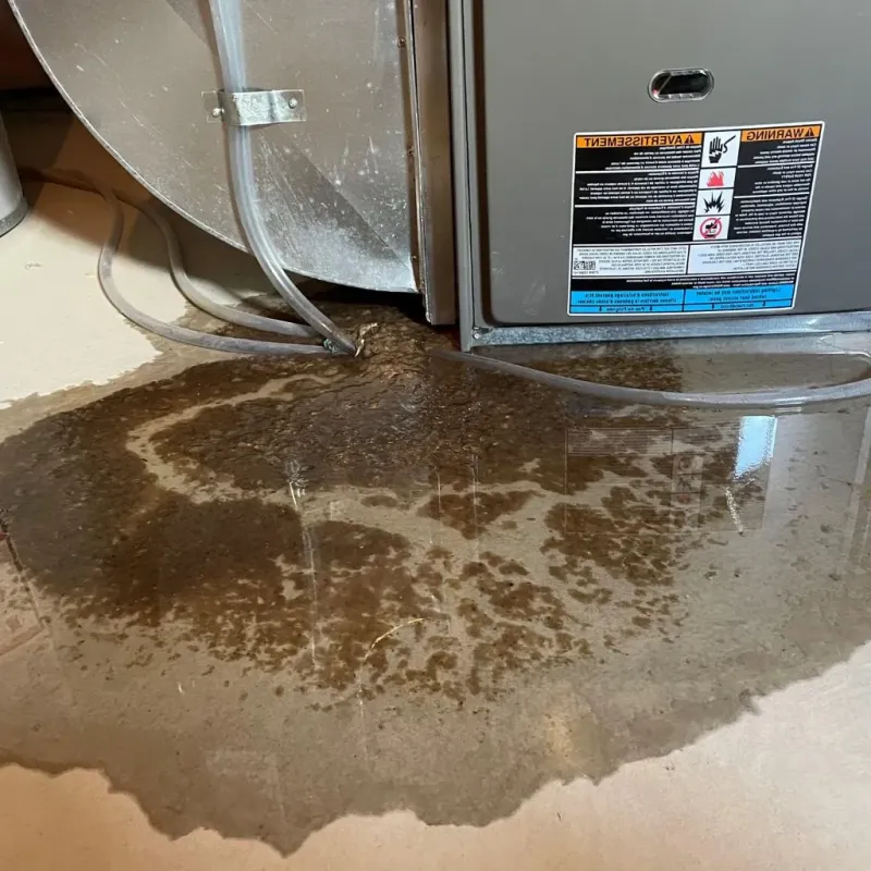 Pipe Burst and Leak Restoration in Trucksville, PA